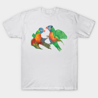 Parrots colorful T-Shirt